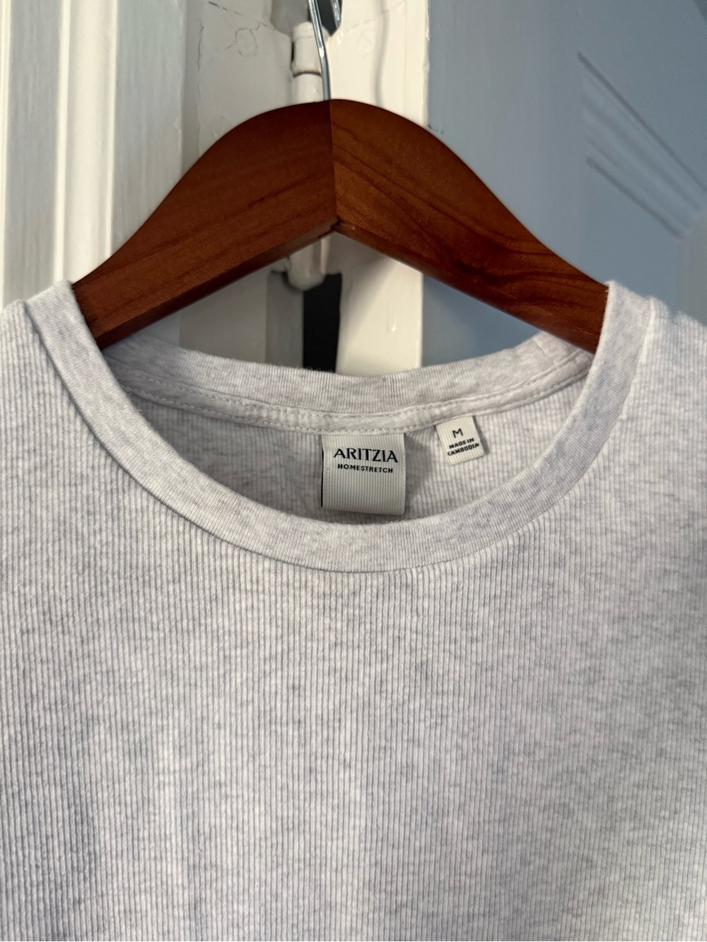 Aritzia Homestretch T shirt